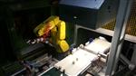 M.T. ZANETTI - FANUC - 6 Axis Loading and Unloading Robot for Transfer Machines Robotized Automation Applications 